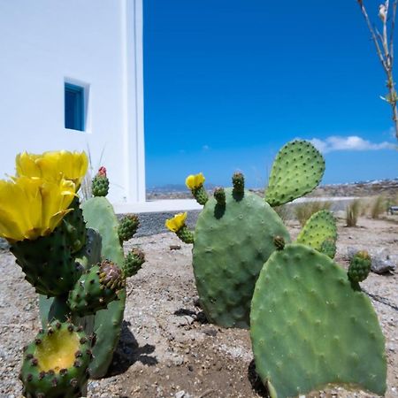 Lilly Villa By Bestofmikonos Орнос Екстериор снимка