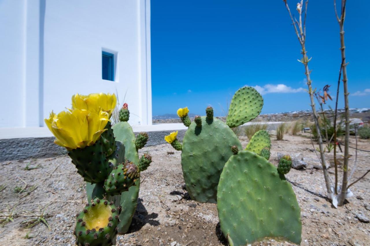 Lilly Villa By Bestofmikonos Орнос Екстериор снимка